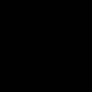 Meet your Posher, Sophia